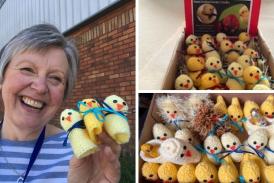 Catherine Parsons knitted and sold more than 100 chicks in aid of the Devon Freewheelers 